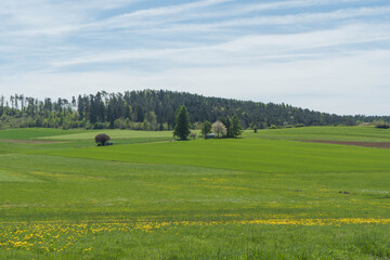 Fototapeta premium Wide spring landscape with green meadows and forest edge near Frankenberg on the Eder