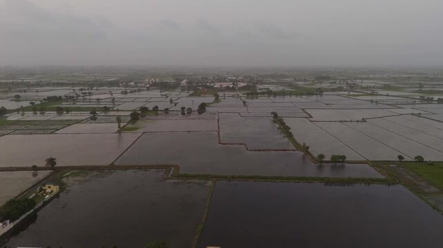 Aerial drone view of flooded agricultural farmland during monsoon with rural landscape near Surat Gujarat India