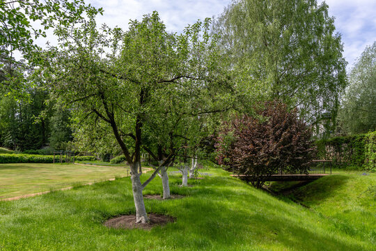 Several trees stand in a garden surrounded by green grass. The scene shows a blue sky with clouds in the background. It is daytime with sunlight shining