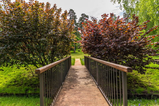 A pathway made of stone leads through a garden flanked by two trees. The scene shows greenery all around with grass and other plants in the background