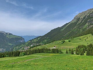 Fototapeta premium Springtime Whistle in the Swiss Hills