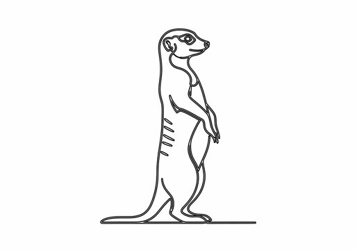 砂漠の番人、微動だにせず