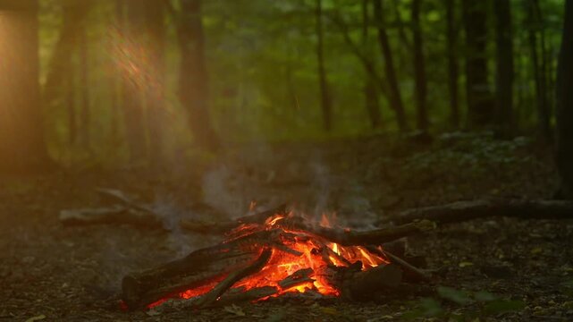 Sunbeams shining through green forest trees onto burning campfire with natural crackling audio sound. Cinematic video background for bushcraft camping, scenic nature travel, outdoor hearth.