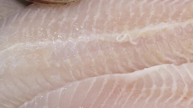 filet de tilapia cru en gros plan