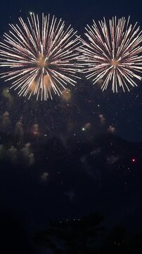 Fireworks Displays, Summer Festivals, and Summer Traditions: Vertical Videos of Spectacular Japanese Fireworks