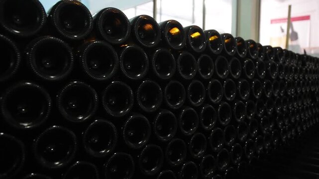 Aged Wooden Barrels Filled with Wine, Brandy or Whiskey in Historic Cellar Warehouse, Dolly Gimbal Movement Along Long Rows of Oak Casks During Alcohol Aging, Fermentation and Storage Process