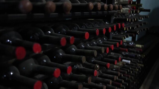 Aged Wooden Barrels Filled with Wine, Brandy or Whiskey in Historic Cellar Warehouse, Dolly Gimbal Movement Along Long Rows of Oak Casks During Alcohol Aging, Fermentation and Storage Process