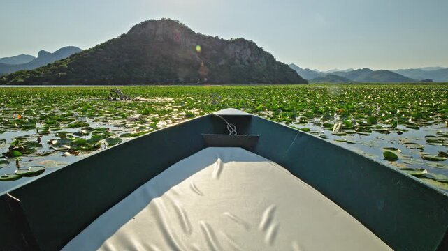 Scenic boat journey across the water lily fields of Skadar Lake National Park in Montenegro. The view from the bow reveals mountains rising above one of Europe&rsquo;s largest freshwater wetlands.