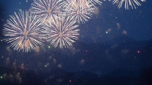 【花火大会を見る観客の声の音入り】打ち上げ花火、夏祭りや夏の風物詩、観客の歓声や声が入った迫力ある花火動画