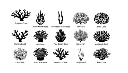 Coral reef silhouette icon set with under water marine plants and sea organisms vector illustration © MDABULKALAM