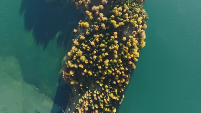 Aerial top down drone view of a small island with colorful autumn trees inside a lake. Seasonal autumn landscape.