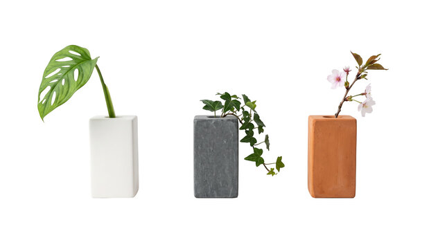 Glass Test Tubes Plant Propagation Station Mockup, Greenery Rooting Kit Presentation for Modern Houseplant Decor