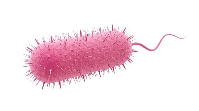 Close-up of a pink bacteria or virus under microscope. Scientific research or microbiology concept.
