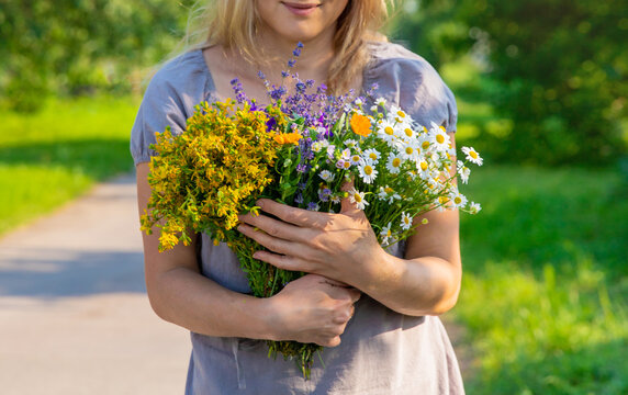 Woman with medicinal herbs. Selective focus.
