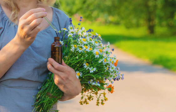 Woman with medicinal herbs. Selective focus.