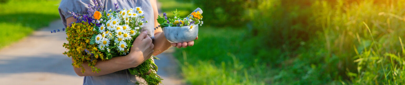 Woman with medicinal herbs. Selective focus.