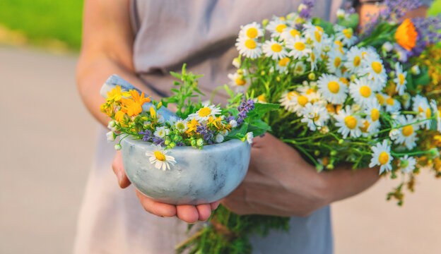 Woman with medicinal herbs. Selective focus.