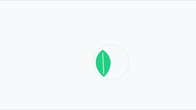 Minimalist green leaf animation with floating circles on 4k white background, motion eco-friendly nature