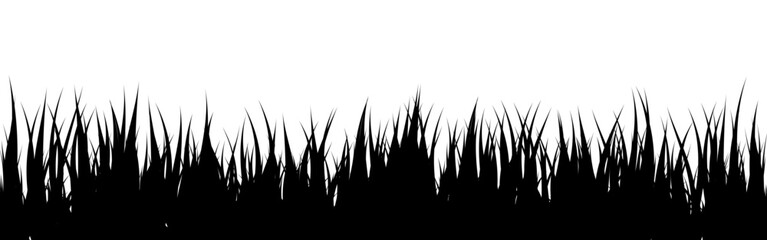 Obraz premium Meadow silhouette with grass, plants on plain. Panoramic summer lawn landscape with herbs, various weeds. Herbal border, frame element. Black horizontal banners. Vector illustration