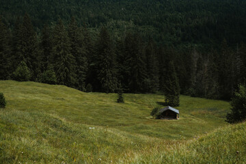 Wooden Hut in a Forest Meadow © Aleksandra