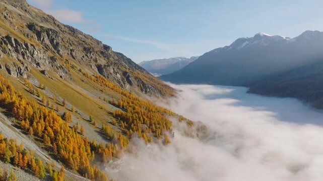 Aerial drone view of a foggy mountain valley with autumn forest at sunrise. Low mist over trees under a clear blue sky.