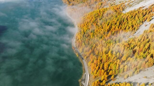 Aerial drone view of a winding road along a lake shore and colorful autumn forest on a foggy morning. Misty natural landscape.