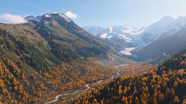 Aerial drone view of a mountain valley with a river and colorful autumn forest. Snow-covered alpine peaks under a clear sky.