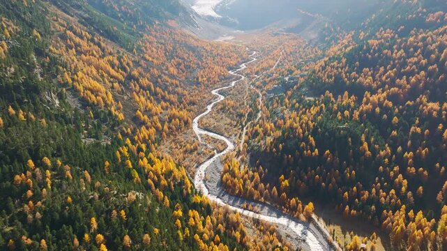 Aerial drone view of a mountain valley with a flowing river and colorful autumn forest. View of the valley without mountain peaks.