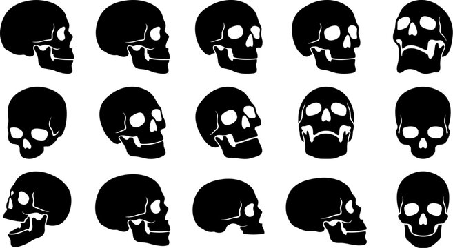 Human skull silhouette rotation set showing various angles for medical and gothic horror illustration.
