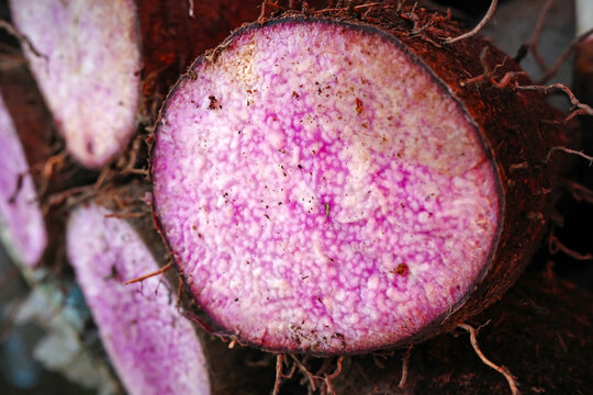 detailed close up of raw sliced purple ube tuber showing natural fibrous pulp antioxidant rich organic root vegetable for healthy eating