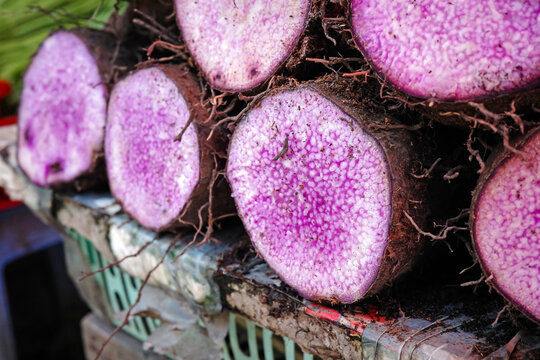 row of fresh sliced purple yam tubers highlighting natural marbled inner texture raw organic superfood rich in fiber and vitamins