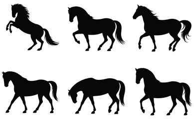 Fototapeta premium Horse silhouettes collection black shapes on a white background