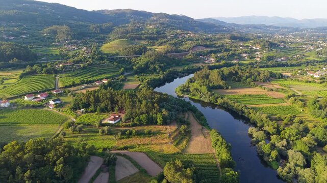 Lima River Meandering Through Lush Forested Valley And Verdant Agricultural Vineyards Of Ponte de Lima, Portugal. aerial arc shot