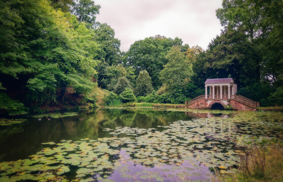Lush green trees frame a tranquil pond