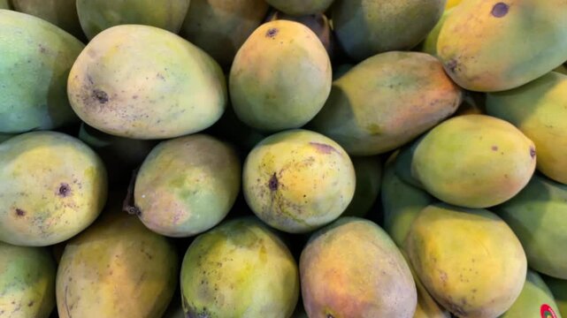 A pile of mangoes on a fruit rack; fresh, ripe mangoes on a table; a fresh mango harvest at a fruit supermarket.
