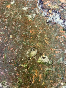 Weathered Wet Stone Surface with Green Algae and Moss Texture