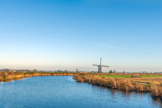 Dutch polder landscape in the Alblasserwaard region with a river and a windmill in the background. The photo was taken on a sunny morning in the autumn season.