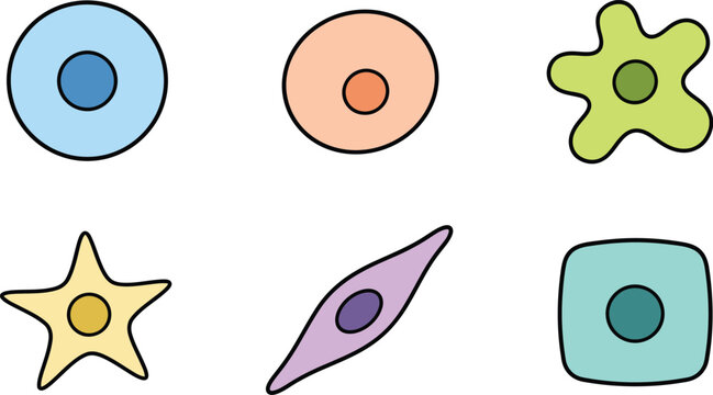 Diverse Biological Cell Shapes Collection Vector Illustration for Cytology and Anatomy