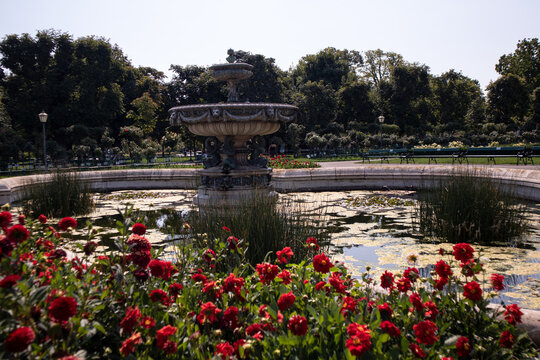 Antica fontana monumentale con ninfee e alghe nella vasca d'acqua all'interno del parco Volksgarten a Vienna circondata da giardini e alberi rigogliosi