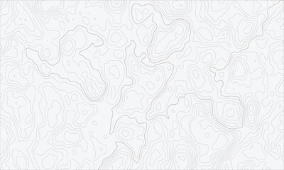 Fototapeta premium Topographic map contour lines seamless pattern on white background for cartography and geographic design and data visualization.