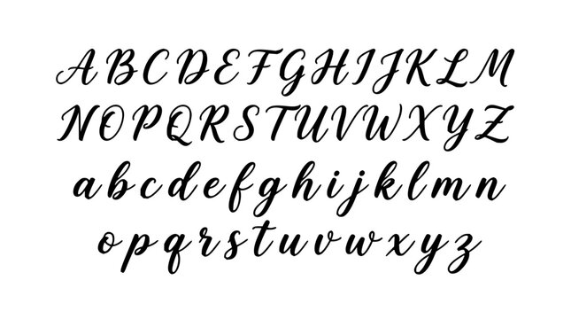 Handwritten alphabet set with uppercase and lowercase letters featuring cursive and print styles with decorative flourishes and clean lines