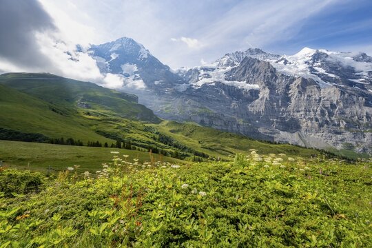 Mountain panorama with peaks Eiger, M&ouml;nch and Jungfrau, Kleine Scheidegg, Jungfrau region, Bernese Oberland, Switzerland