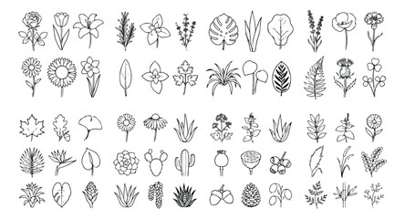 Obraz premium Minimalist botanical line art icons, set of 50 hand drawn floral and leaf vector illustrations, black and white nature plant doodles