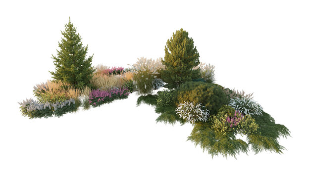 landscape composition with evergreen coniferous trees and ornamental pampas grass (conifers and pampas grass) isolated PNG on a transparent background premium nature cutout
