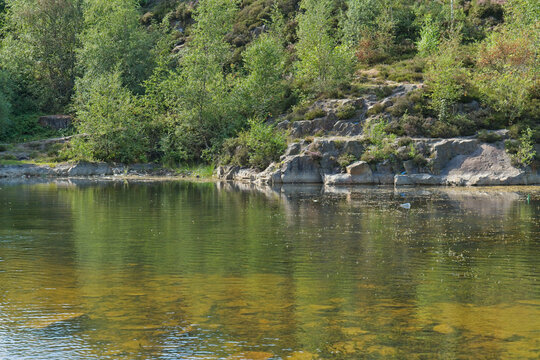 A still body of water reflects green trees and rocky banks. Submerged aquatic plants are visible in the clear, shallow water - Church Wood and Old Quarry, Bury, UK