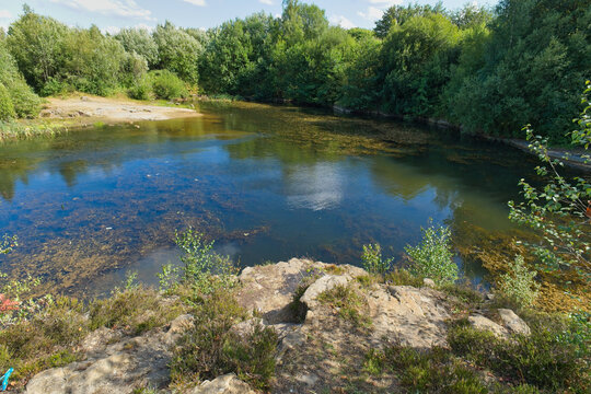A tranquil pond with clear water reflecting green trees under a blue sky. Rocky ground and sparse vegetation frame the water in this natural landscape - Church Wood and Old Quarry, Bury, UK