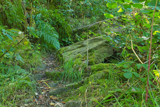 A moss-covered stone slab lies on an overgrown, winding path in a vibrant green forest. Lush ferns and grass surround the ancient-looking stone - Church Wood and Old Quarry, Bury, UK