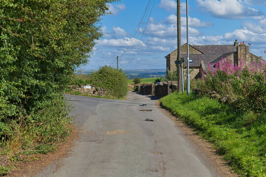A narrow country road winds past a stone house adorned with pink flowers under a blue sky. Green hedges line the path, offering a distant valley view - Church Wood and Old Quarry, Bury, UK
