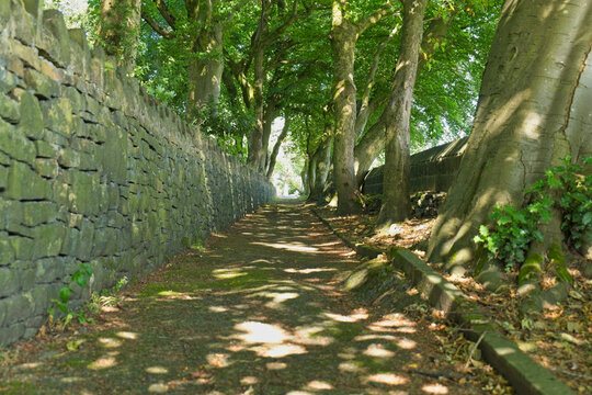 A tree-lined, sun-dappled path with a stone wall on the left, receding into the distance - Church Wood and Old Quarry, Bury, UK