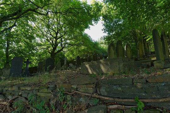 A sun-drenched, overgrown cemetery features old, weathered gravestones beneath a canopy of lush green trees - Church Wood and Old Quarry, Bury, UK
